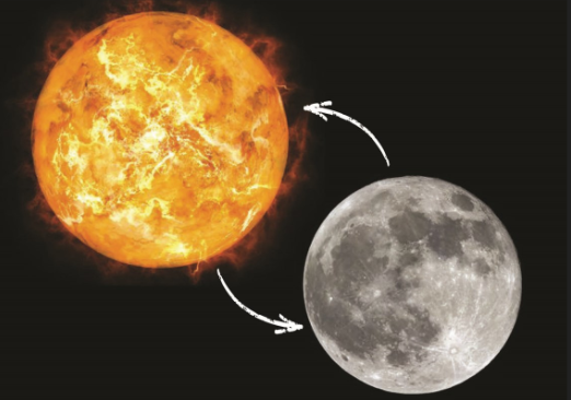 Plants | Science Year 3