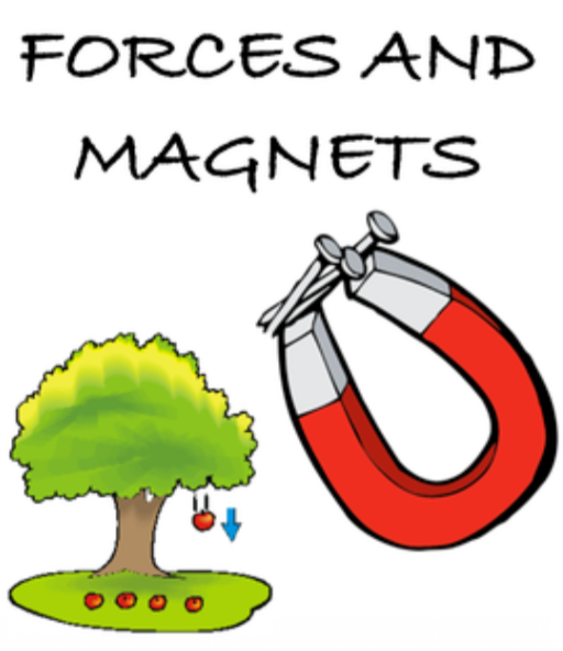 Plants | Science Year 3